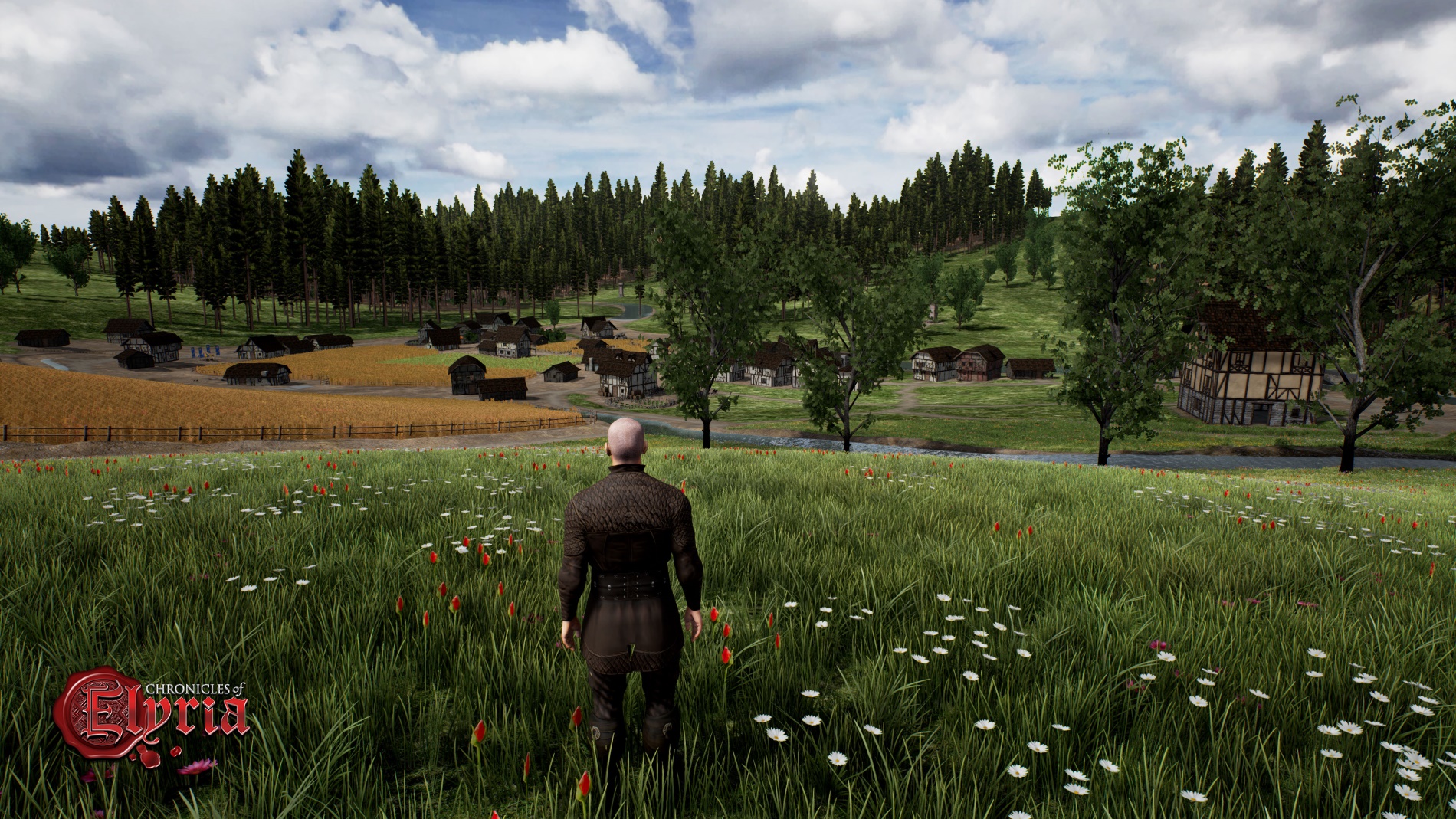Chronicles of Elyria 