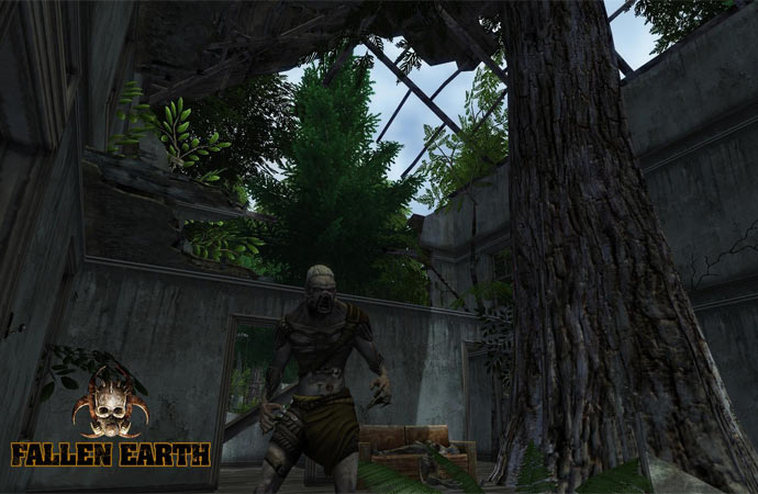 Fallen Earth 
