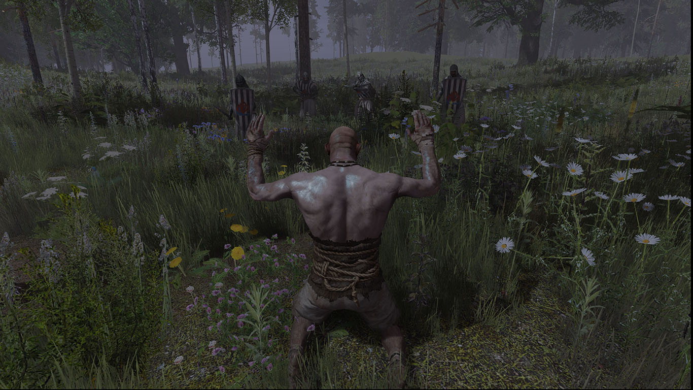 Life is Feudal 