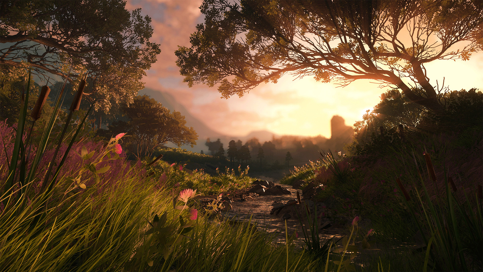 Mavericks: Proving Grounds 