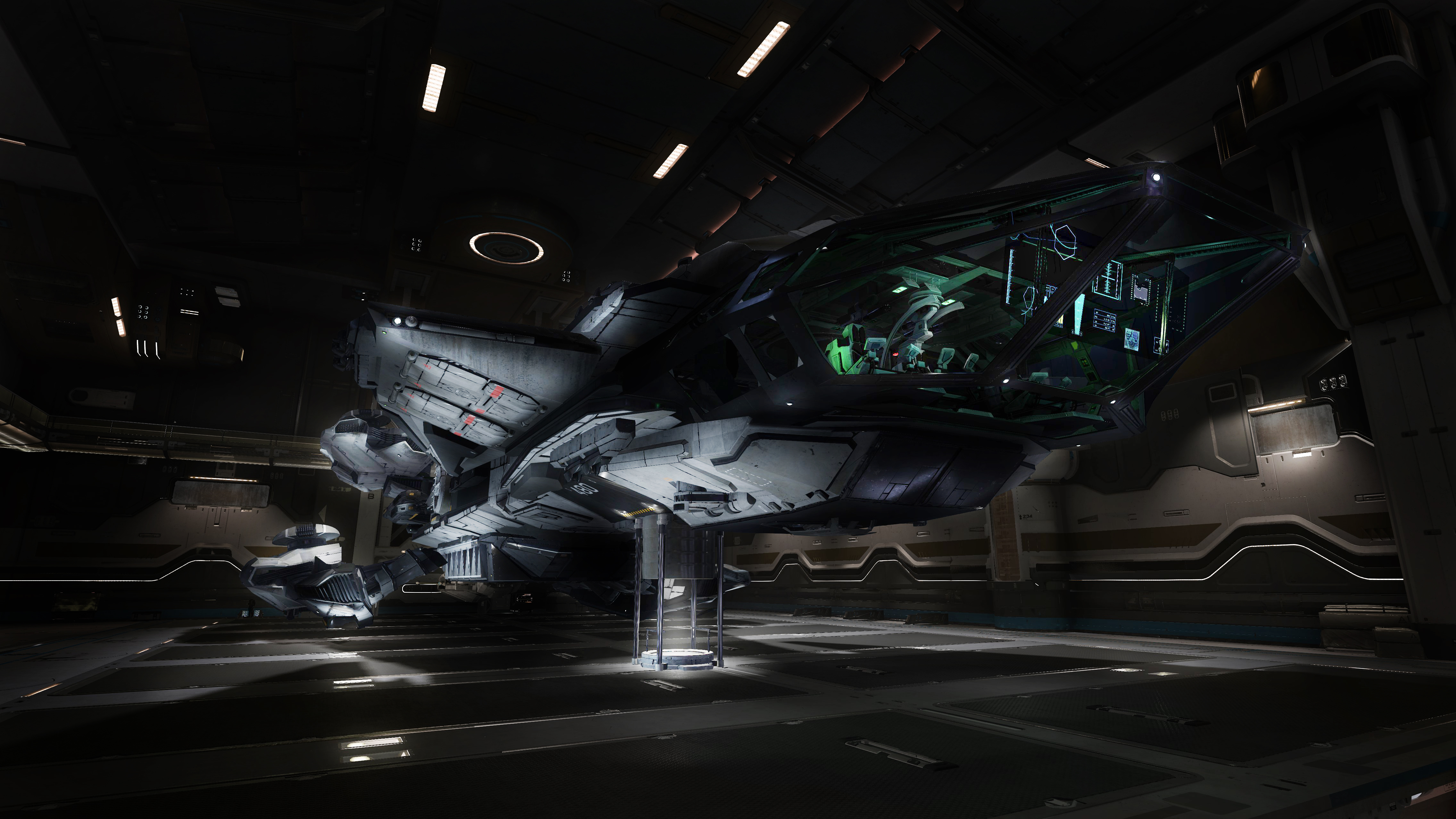 Star Citizen 