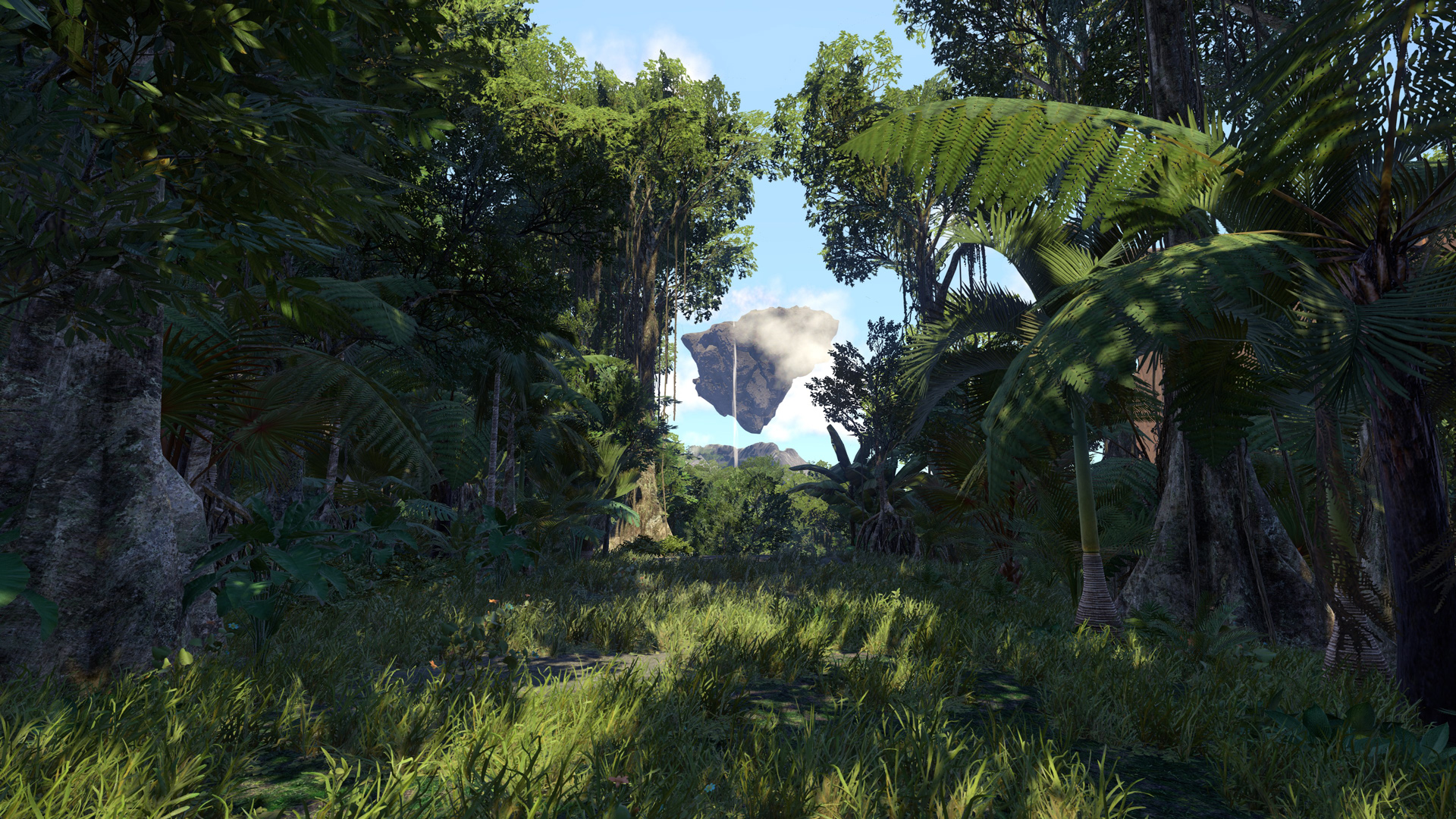 Wander 