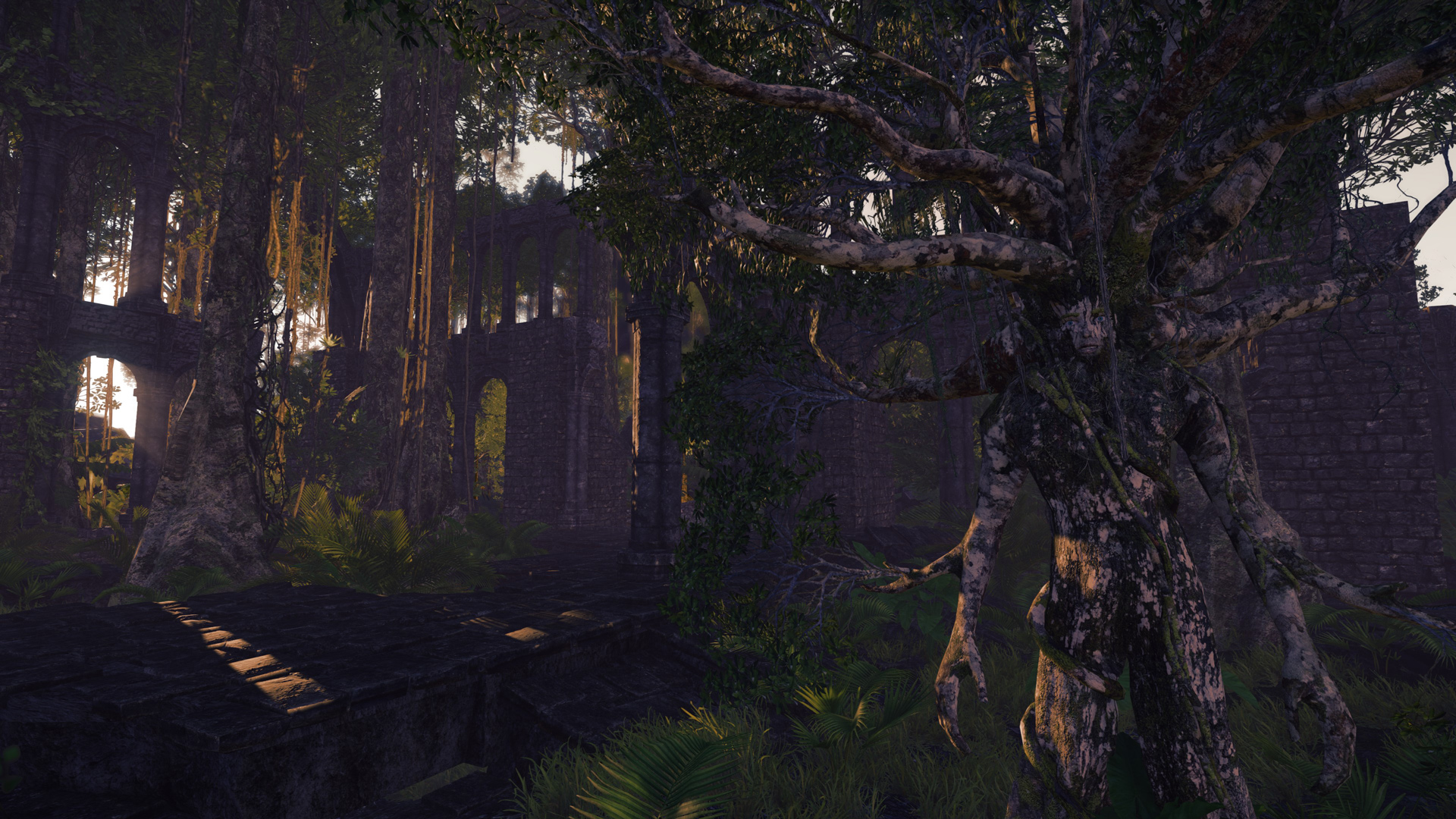 Wander 
