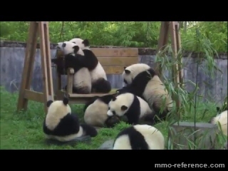 Vidéo League of Angels 2 - Sauvez les pandas !