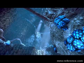 Vidéo Tera - Arachnaea