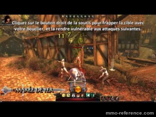 Vidéo Neverwinter - Choisirez-vous le Guerrier défensif ?