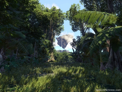 Wander